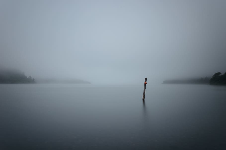 lake, trees, water, calm, fog, foggy, forest, lagoon, pond HD wallpaper