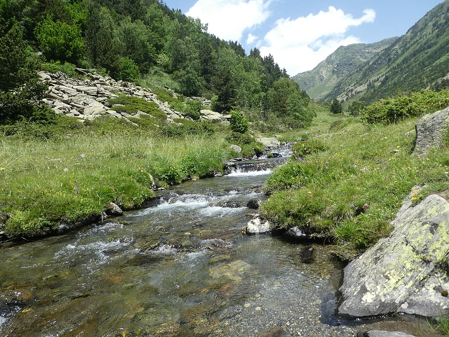 river, trees, mountain, andorra, water, plant, beauty in nature HD wallpaper