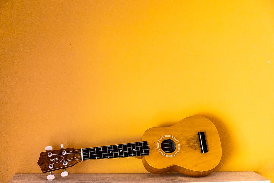 guitar, musical instrument, leisure activities, bass guitar, HD wallpaper