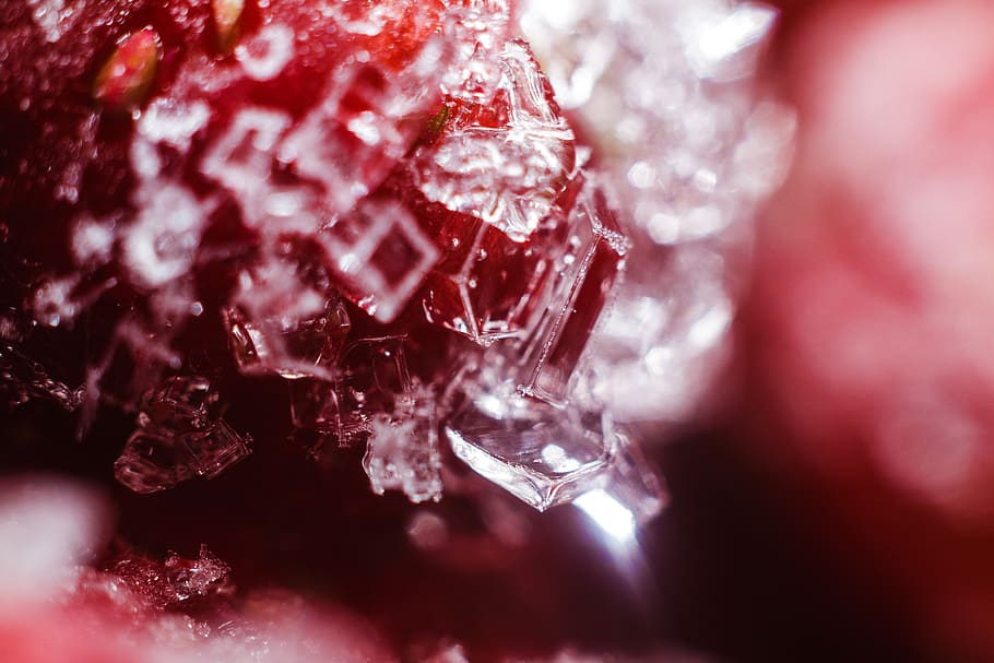ice, macro, strawberry, cold, light, red, nature, close-up HD wallpaper