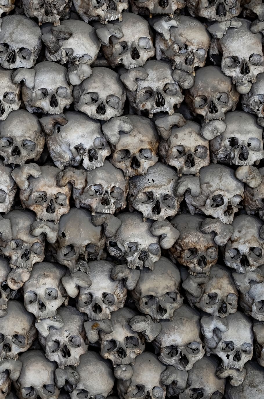 skull digital wallpaper, no people, backgrounds, full frame, abundance HD wallpaper