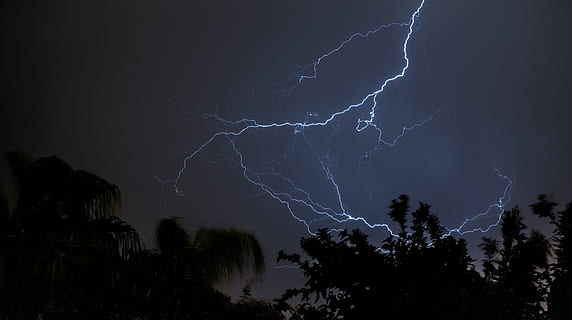lightning at night time, storm, weather, sky, tree, silhouette HD wallpaper
