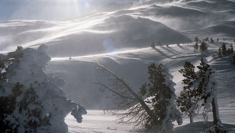 wind, white, winter, mountain, snow, cold temperature, environment HD wallpaper
