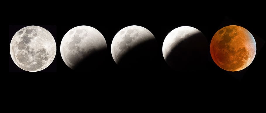 blood moon eclipse, night, sky, space, full, lunar, astronomy HD wallpaper