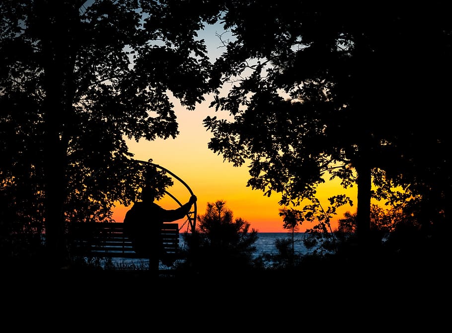 Photography of Silhouettes of Man and Trees, afterglow, backlit HD wallpaper