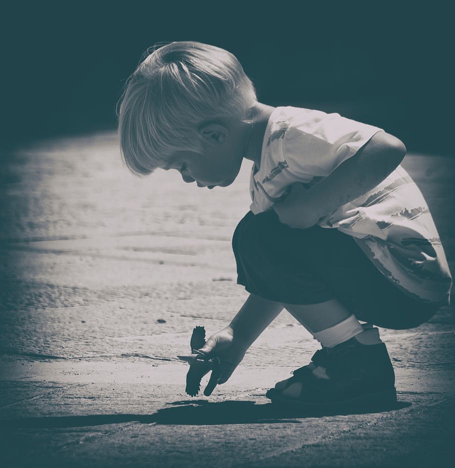 kid, boy, playing, street, bird, eagle, child, childhood, boys HD wallpaper