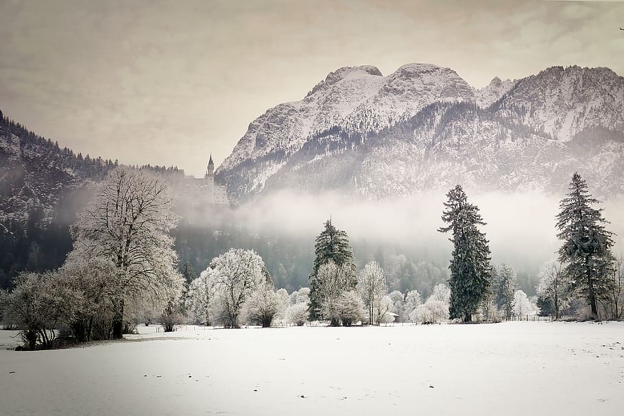 snow, winter, mountain, tree, cold, castle, kristin, wintertime HD wallpaper
