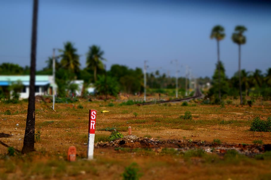 india, vellore, katpadi, miniature, indian, village, trees HD wallpaper