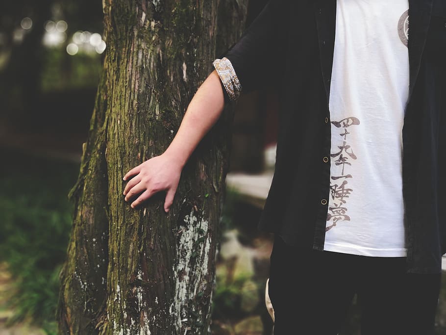 person touching tree trunk, human, people, shirt, clothing, china HD wallpaper