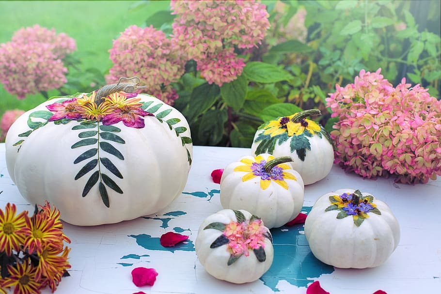 fall, autumn, pumpkins, white pumpkins, decorations, decoupage HD wallpaper