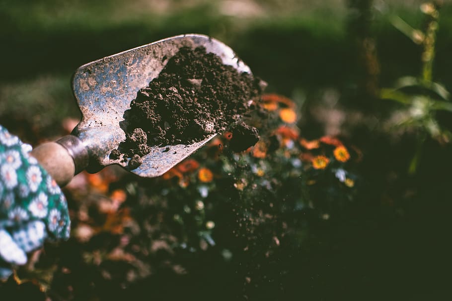 Person Digging on Soil Using Garden Shovel, blur, close-up, dark HD wallpaper