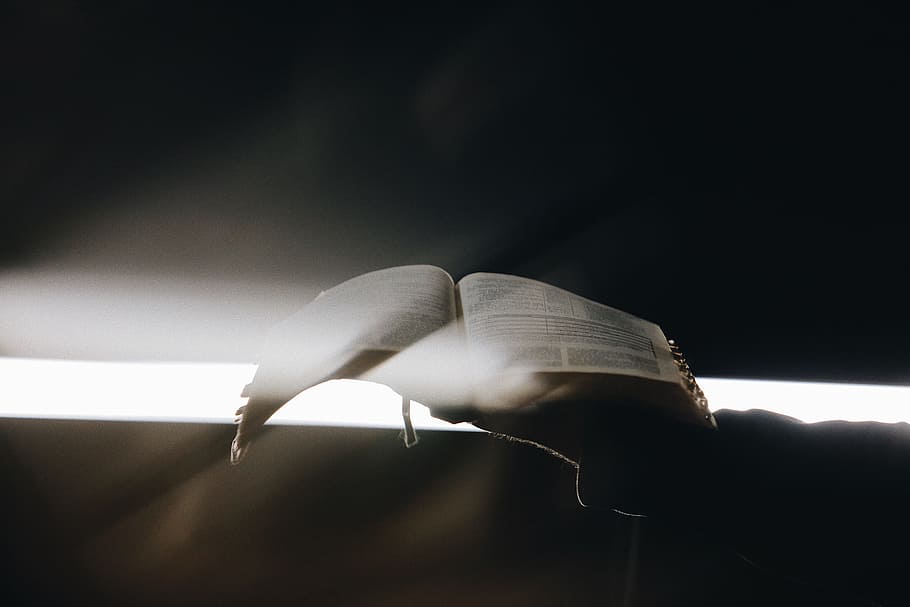 person holding opened book, bible, page, light, glow, los angeles HD wallpaper