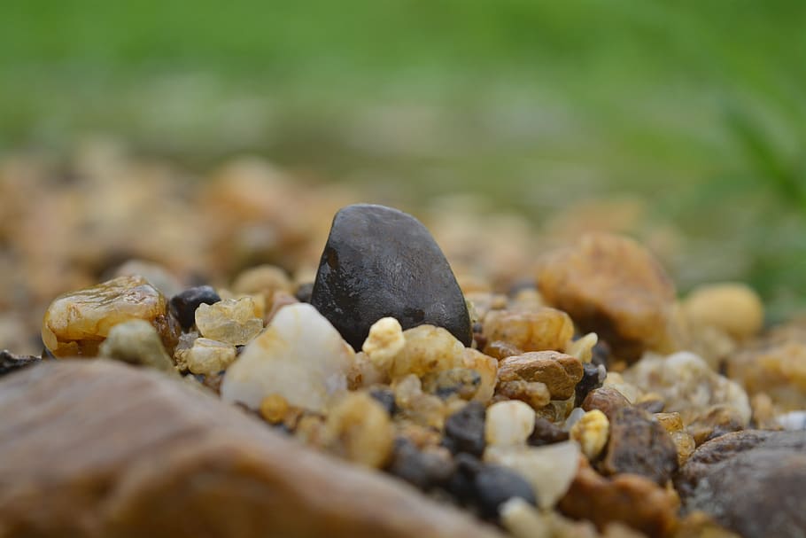 nature, stone, object, food and drink, selective focus, close-up HD wallpaper