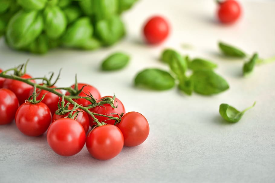 Red Fruit on White Surface, basil, blur, cherry tomatoes, close-up HD wallpaper