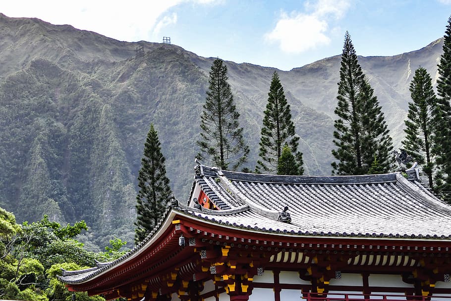 pagoda temple surrounded by pine trees, plant, fir, abies, building HD wallpaper
