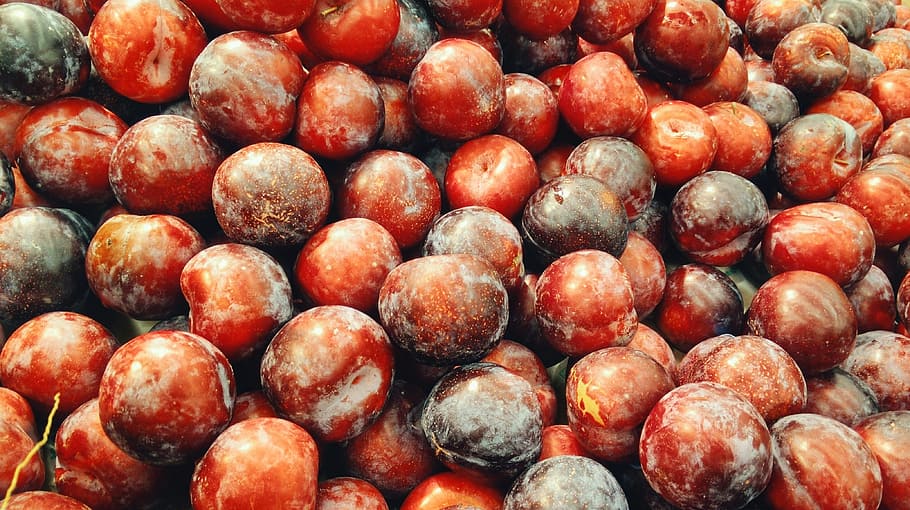 red berries photo, plum, fruit, autumn, brown, organic, fresh HD wallpaper