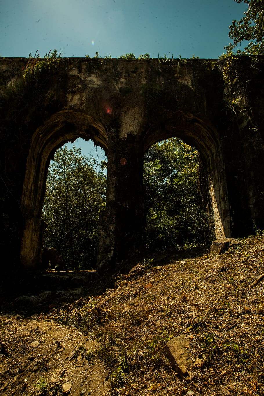 forest, woods, arc, tree, nature, bridge, leaf, land, stone HD wallpaper