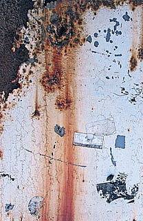 rust, wall, invertebrate, insect, honey bee, animal, text, stain HD wallpaper