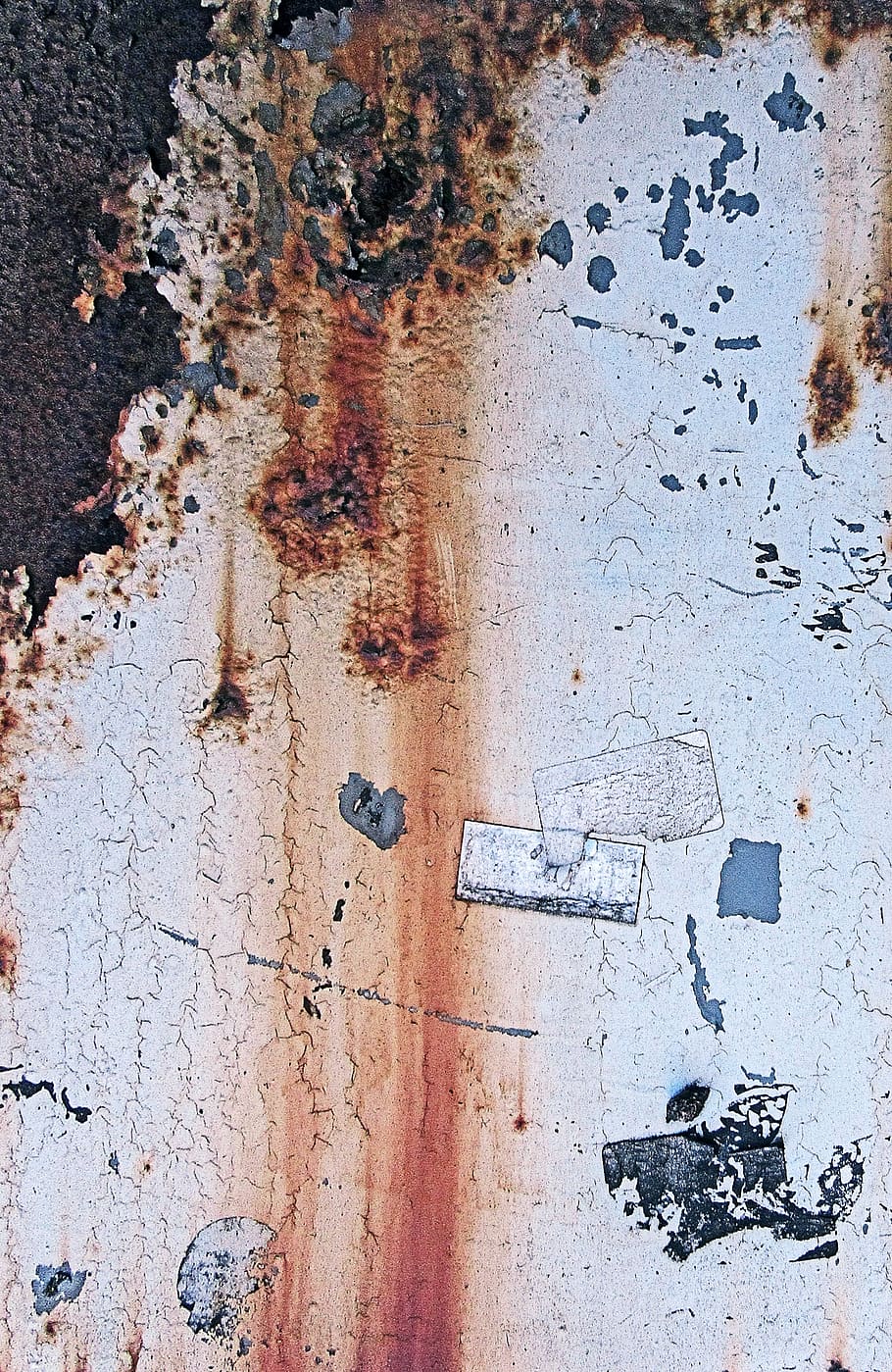rust, wall, invertebrate, insect, honey bee, animal, text, stain HD wallpaper