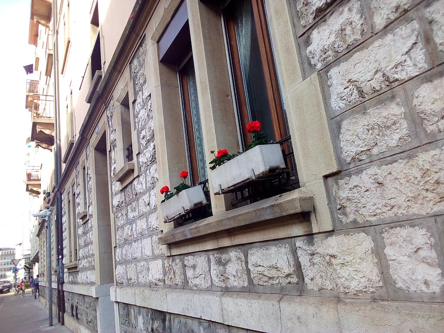 street, geneva, summer, spring, flowers, fleur, building exterior HD wallpaper