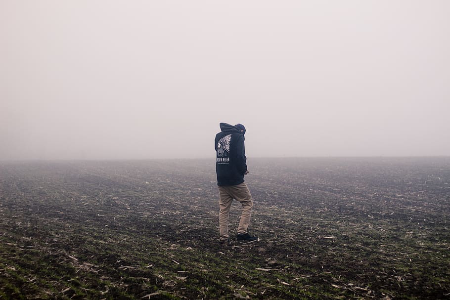 tim, field, farm, farmers field, fog, sweater, pants, photowalk, HD wallpaper