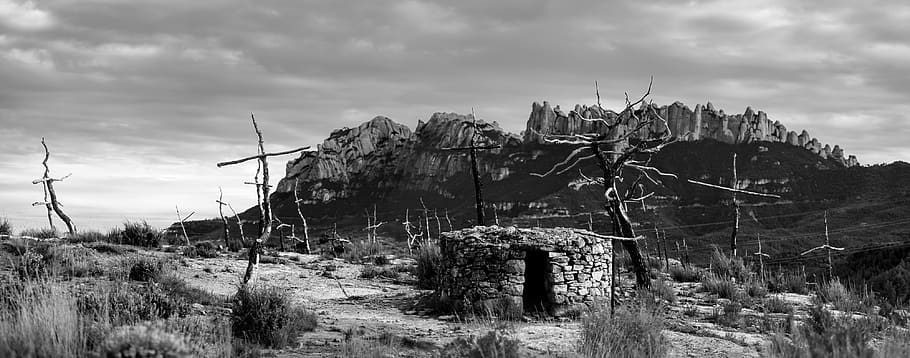 cross, forest, fire, blackandwhite, nikon, cloud - sky, nature HD wallpaper