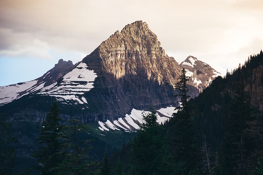 canada, waterton, trees, mountain, sunset, glacier, snow, beauty in nature HD wallpaper