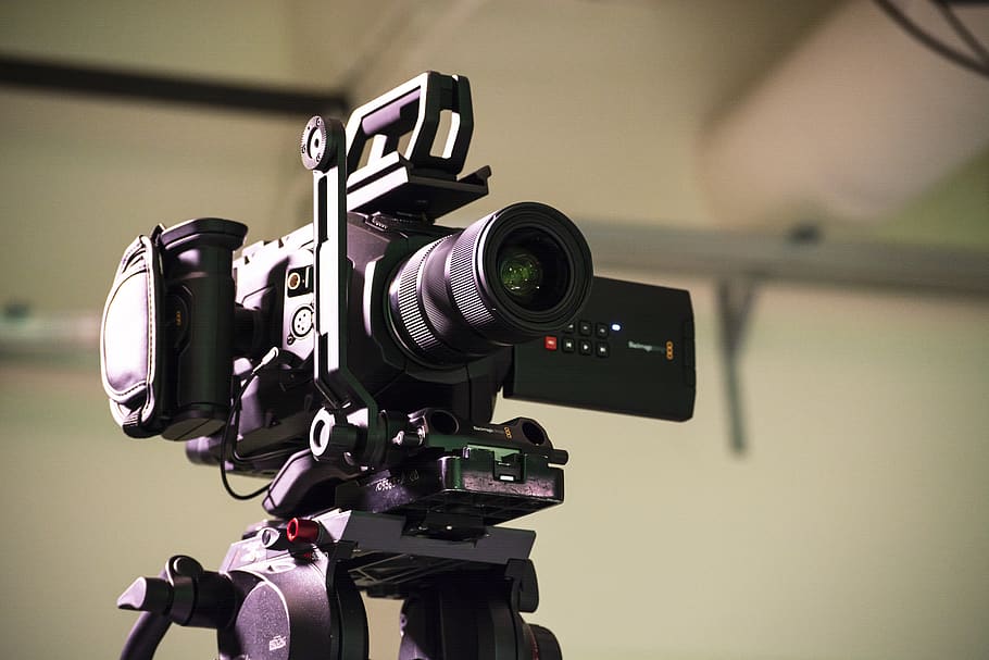 camera, electronics, video camera, tripod, digital camera, vegetation HD wallpaper