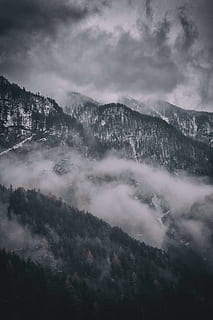 forest mountain covered with clouds aerial photography, tree HD wallpaper