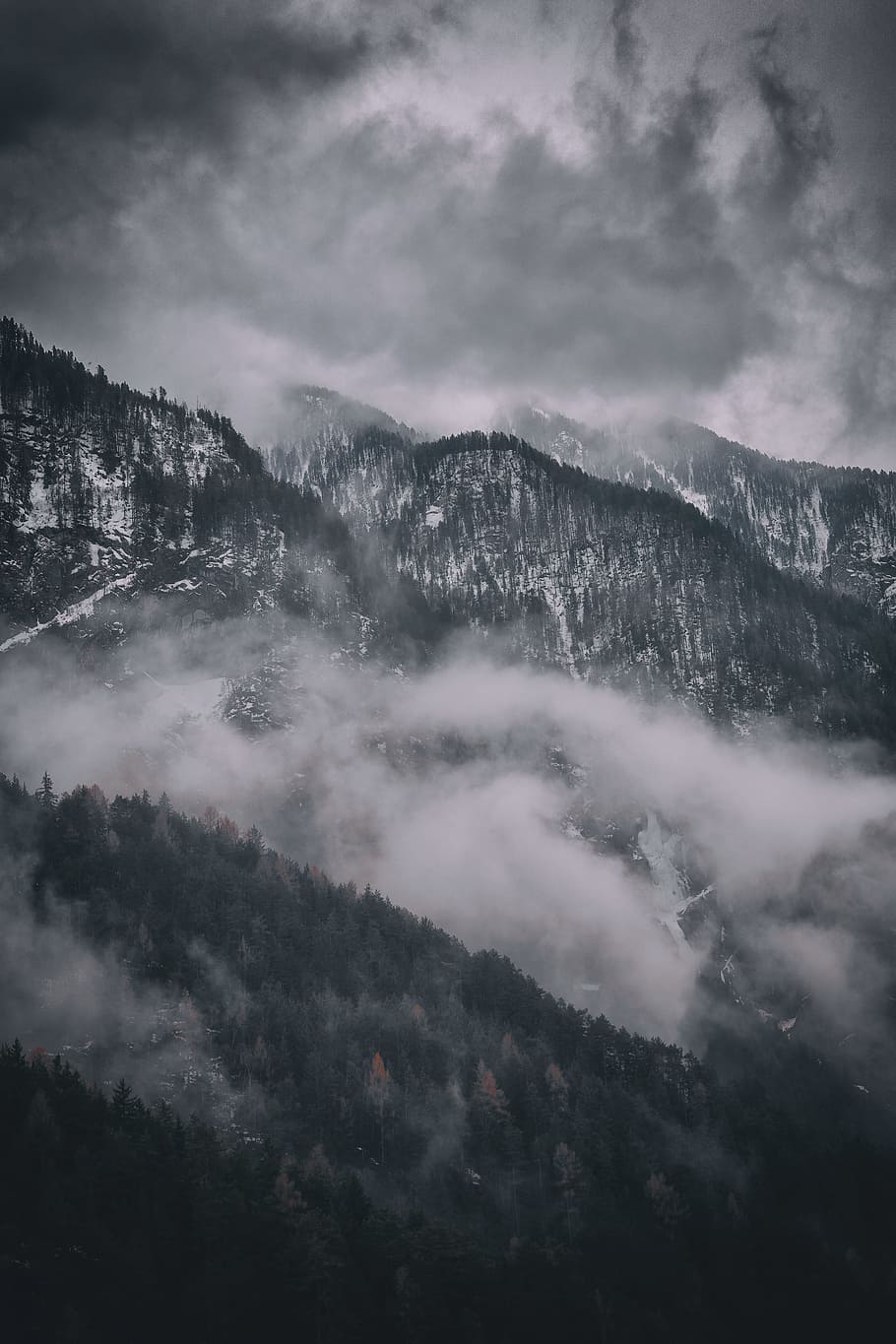 forest mountain covered with clouds aerial photography, tree HD wallpaper