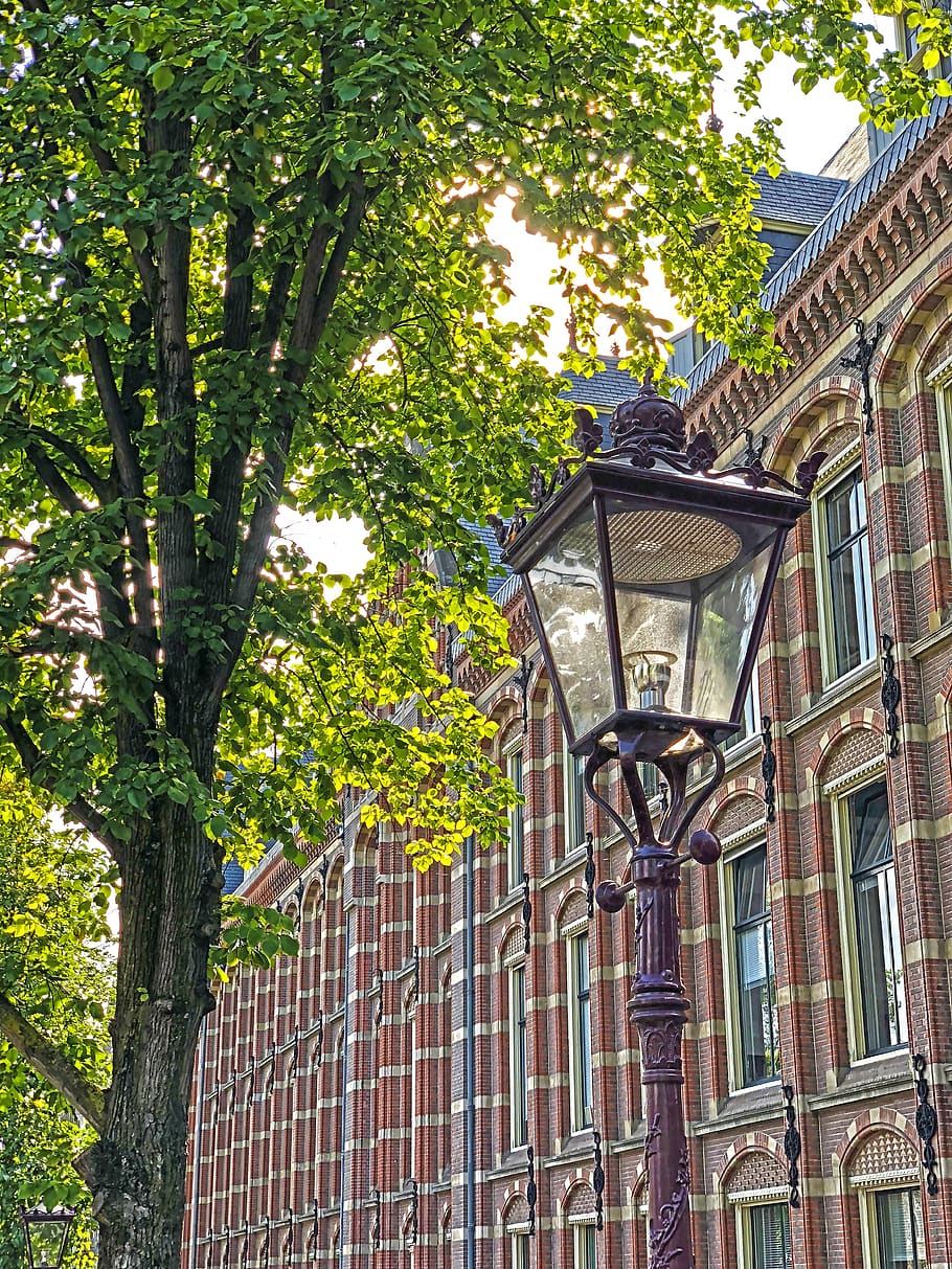 town hall, building, brick, lantern, tree, crown, red, bricks HD wallpaper