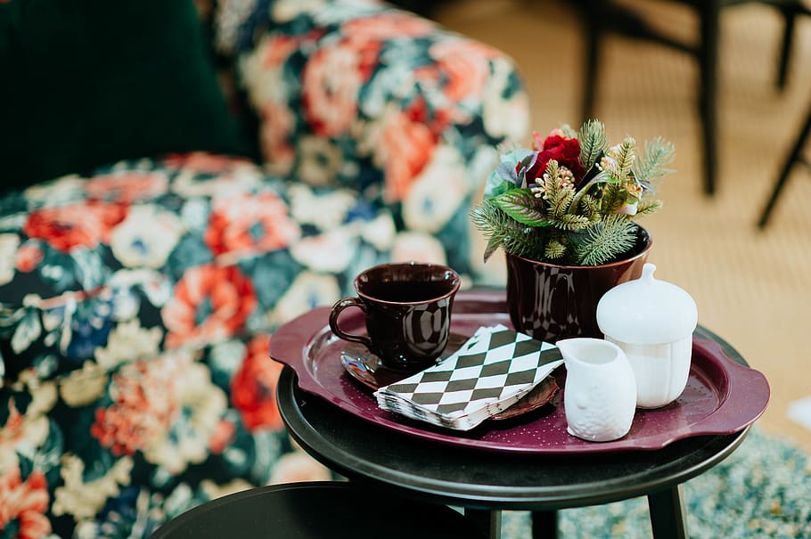 brown cup on tray, pottery, saucer, furniture, coffee cup, plant HD wallpaper