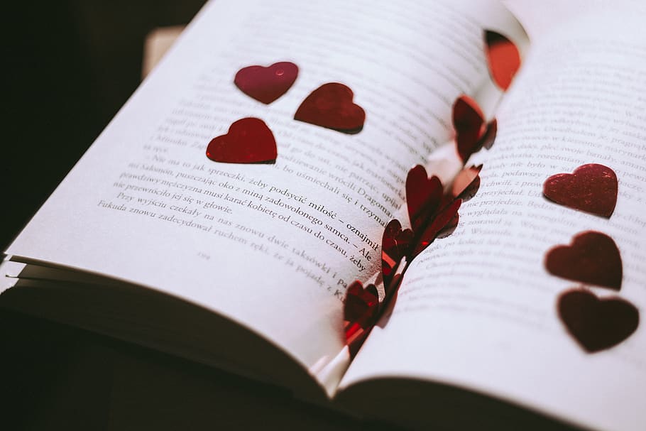 Close-up of Heart Shape, bible, chapter, creative, document, education HD wallpaper
