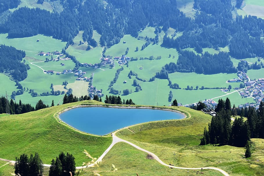 austria, hohe salve, plant, tree, mountain, beauty in nature, HD wallpaper