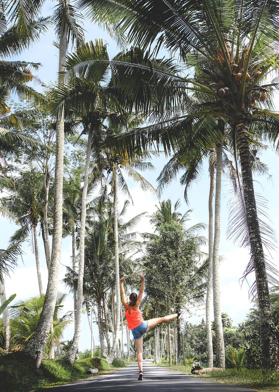 woman standing between trees during daytime, person, human, palm tree HD wallpaper