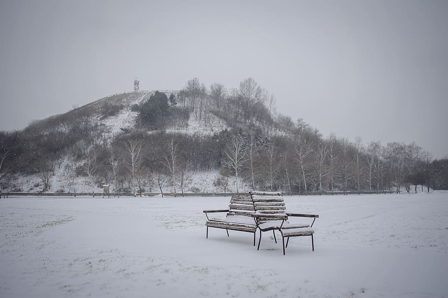 bench, snow, winter, alone, cold, frost, lonely, frozen, outdoor HD wallpaper