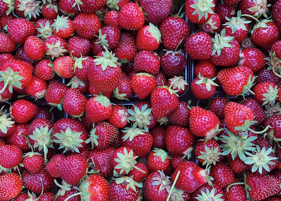 strawberries, fruit, red, sweet, delicious, fresh, summer, healthy eating HD wallpaper