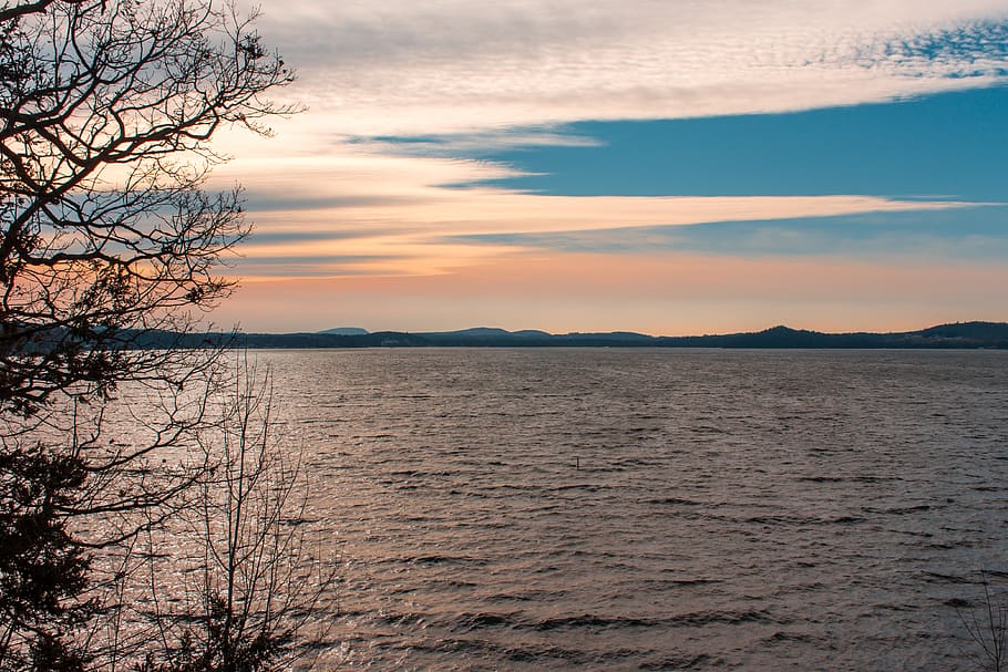 nature, outdoors, sky, sunset, water, plant, tree, sunrise HD wallpaper
