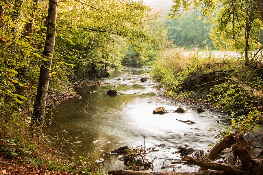 landscape, forest, river, water, torrent, fall, wood, trees HD wallpaper