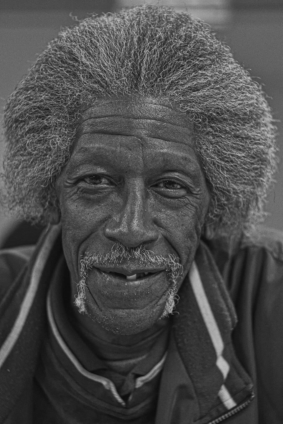face, old man, portrait, head, male elderly, human, senior HD wallpaper