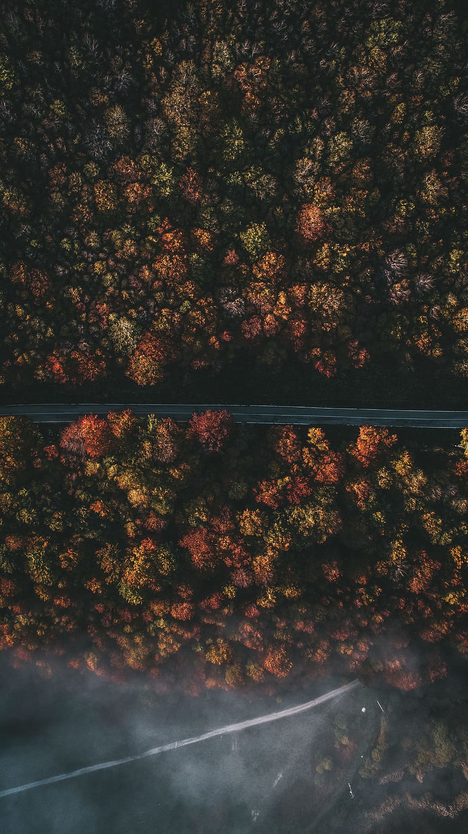 aerial photography of roadway and trees, drone view, aerial view HD wallpaper