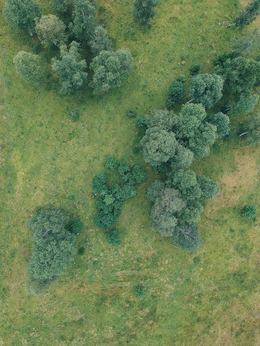 norway, dron, green color, full frame, no people, day, backgrounds HD wallpaper