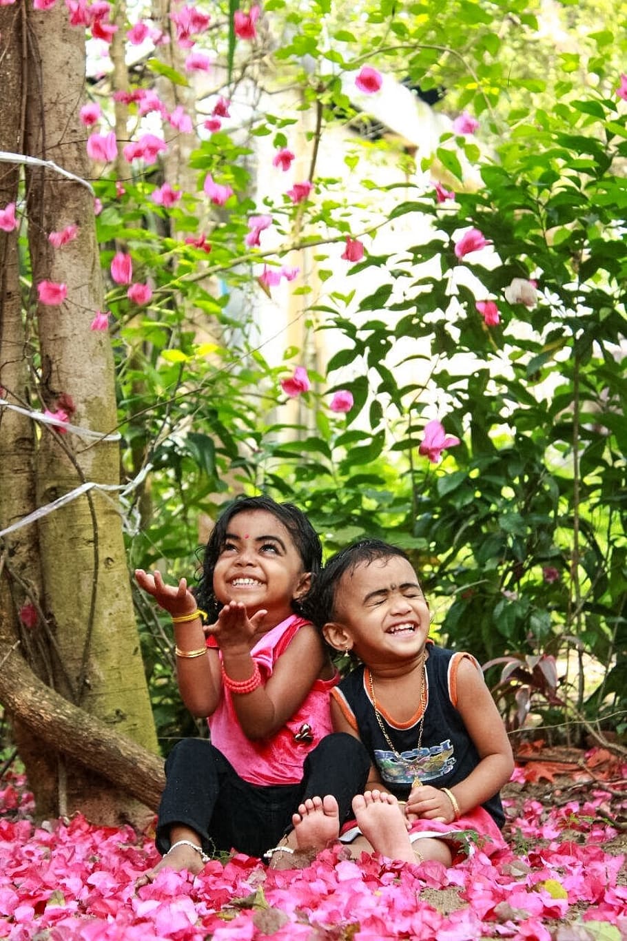 Laughing Boy and Girl Sitting on Pink Flower Petals Near Tree HD wallpaper