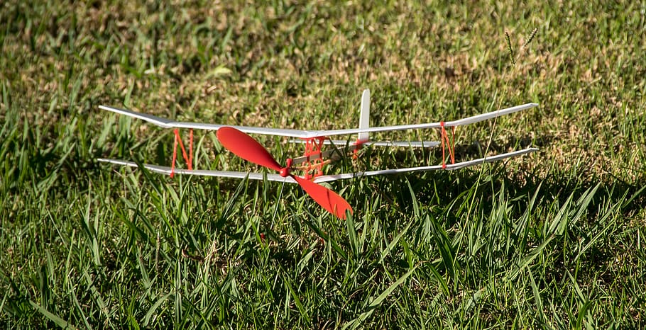 toy, aircraft, aeroplane, model, biplane, retro, colorful, plant HD wallpaper