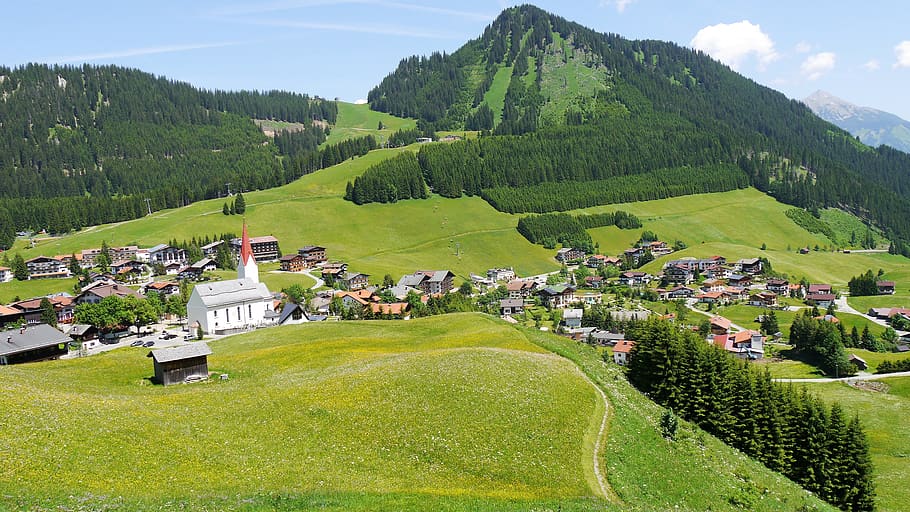 austria, nature, mountains, landscape, green, flowers, edelweiss HD wallpaper