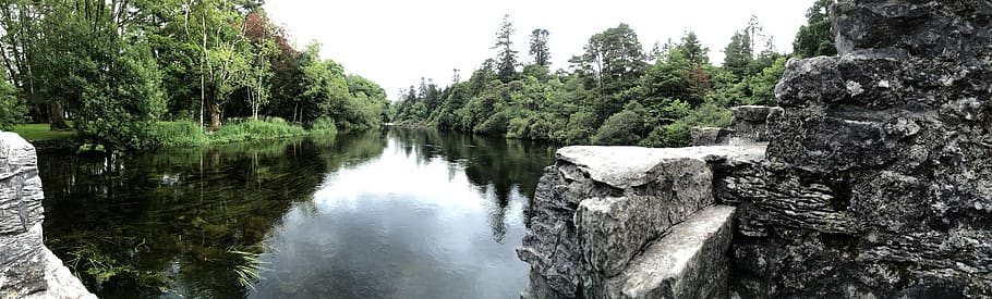 ireland, cong, stone, trees, forest, nature, europe, water HD wallpaper