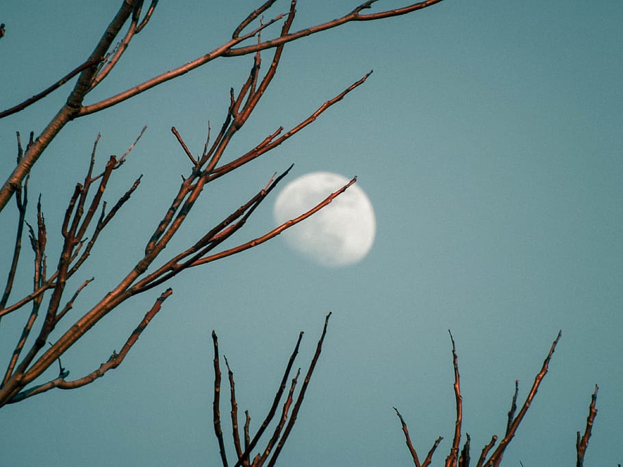 nature, outdoors, outer space, night, universe, moon, astronomy HD wallpaper