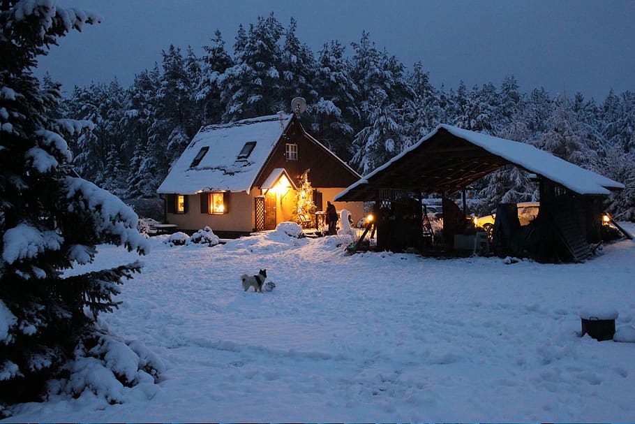 2 house in snow, building, cottage, cabin, housing, poland, lizaki HD wallpaper