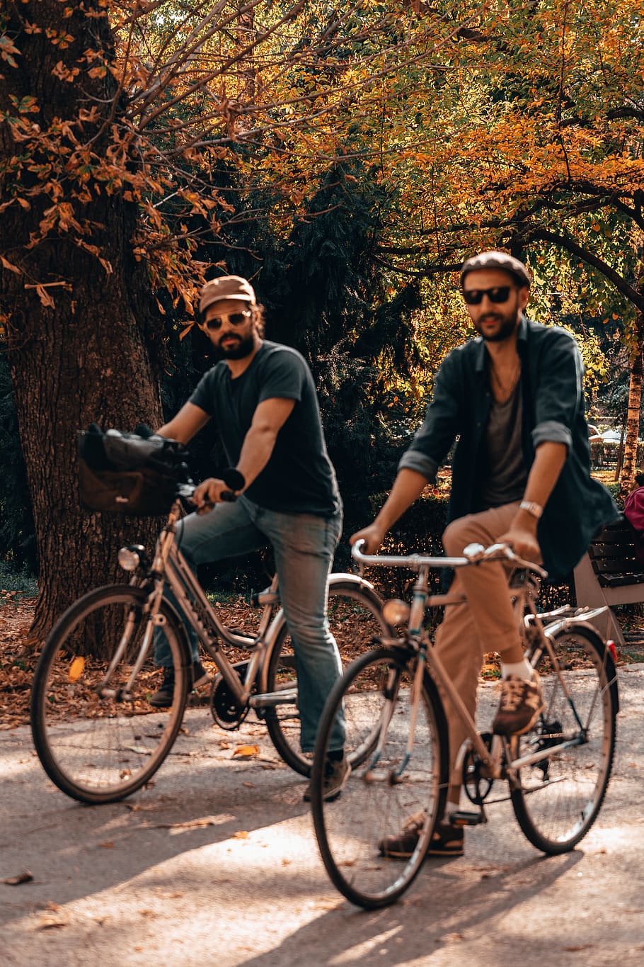 two men riding bicycle during daytime, transportation, leisure activity HD wallpaper