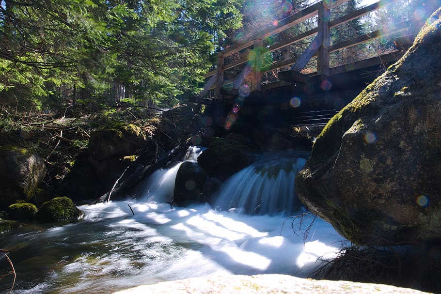 waterfall, trees, forest, bridge, sun, spring, river, nature HD wallpaper